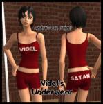 Click image for larger version

Name:  Videl_underwear_banner.jpg
Size:  55.4 KB
