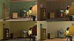 THE SIMS 3